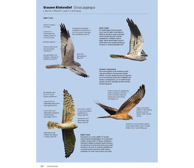 knnv_uitgeverij_veldgids_handboek_europese_vogels_set_(deel_1_en_2)[2].jpg